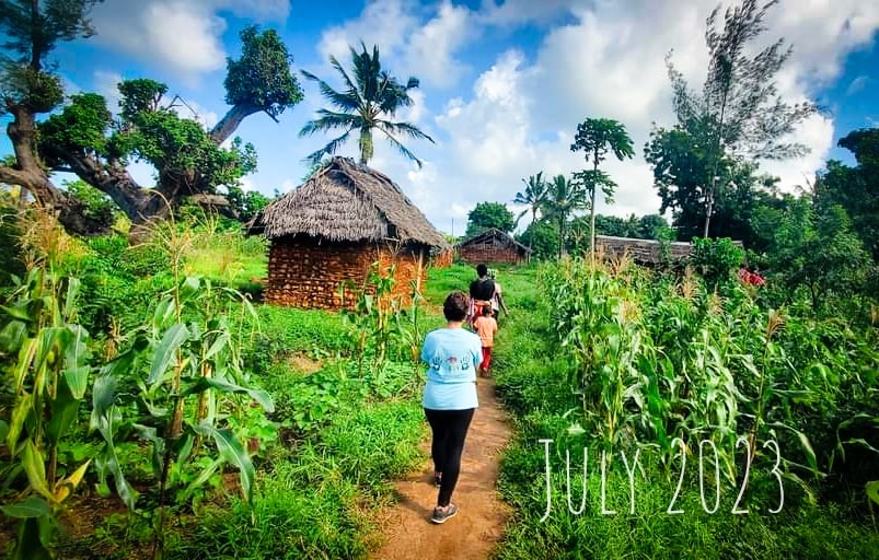 Housing activation and safe sites